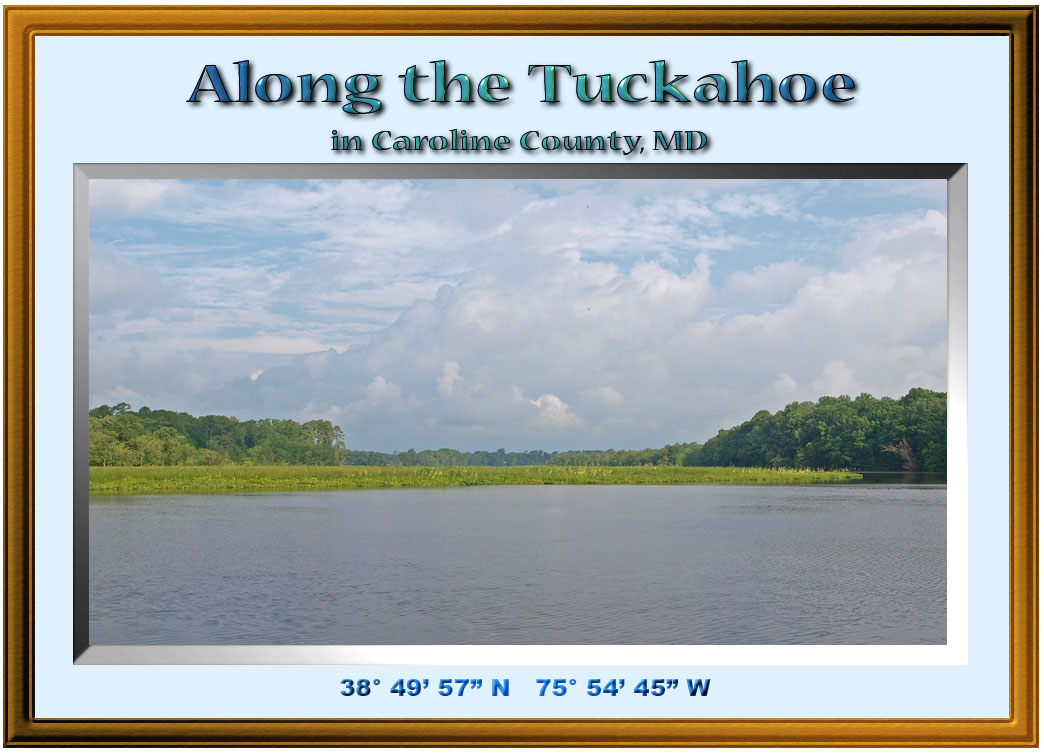 Tuckahoe Afternoon